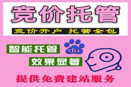 sem推广竞价托管的智慧之道——成功案例剖析